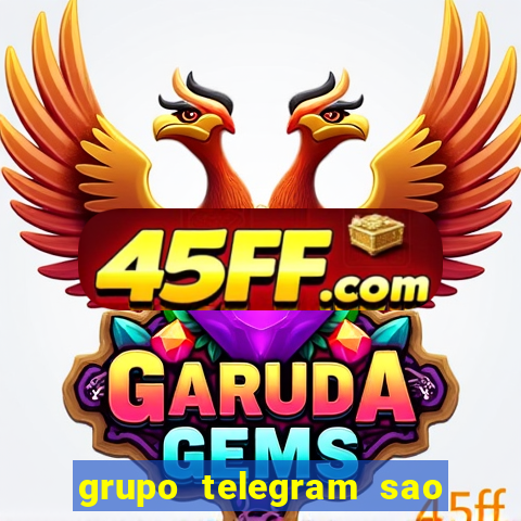 grupo telegram sao jose do rio preto